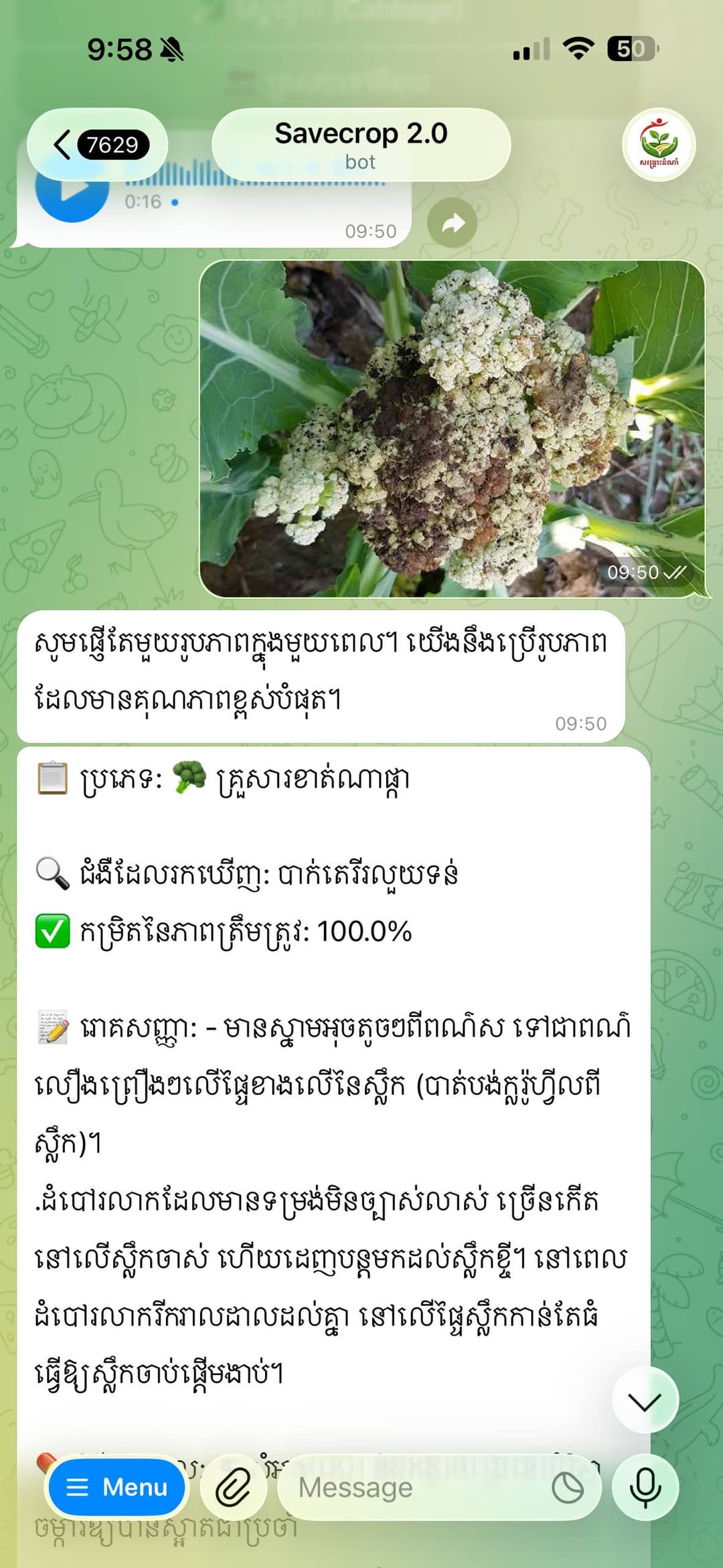 Telegram crop diagnosis example